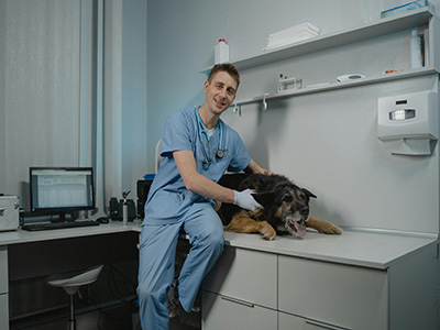 veterinary1