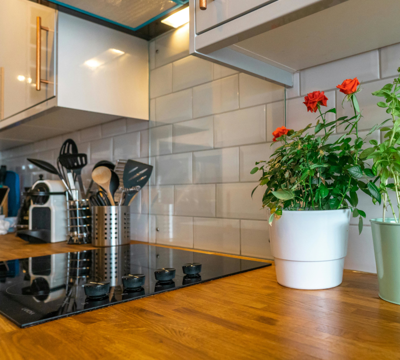 Stove and plants on a kitchen counter.